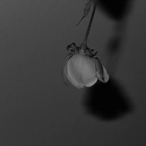 广东爱爱免费视频
