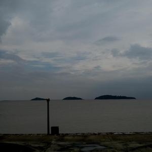 广东爱爱免费视频
